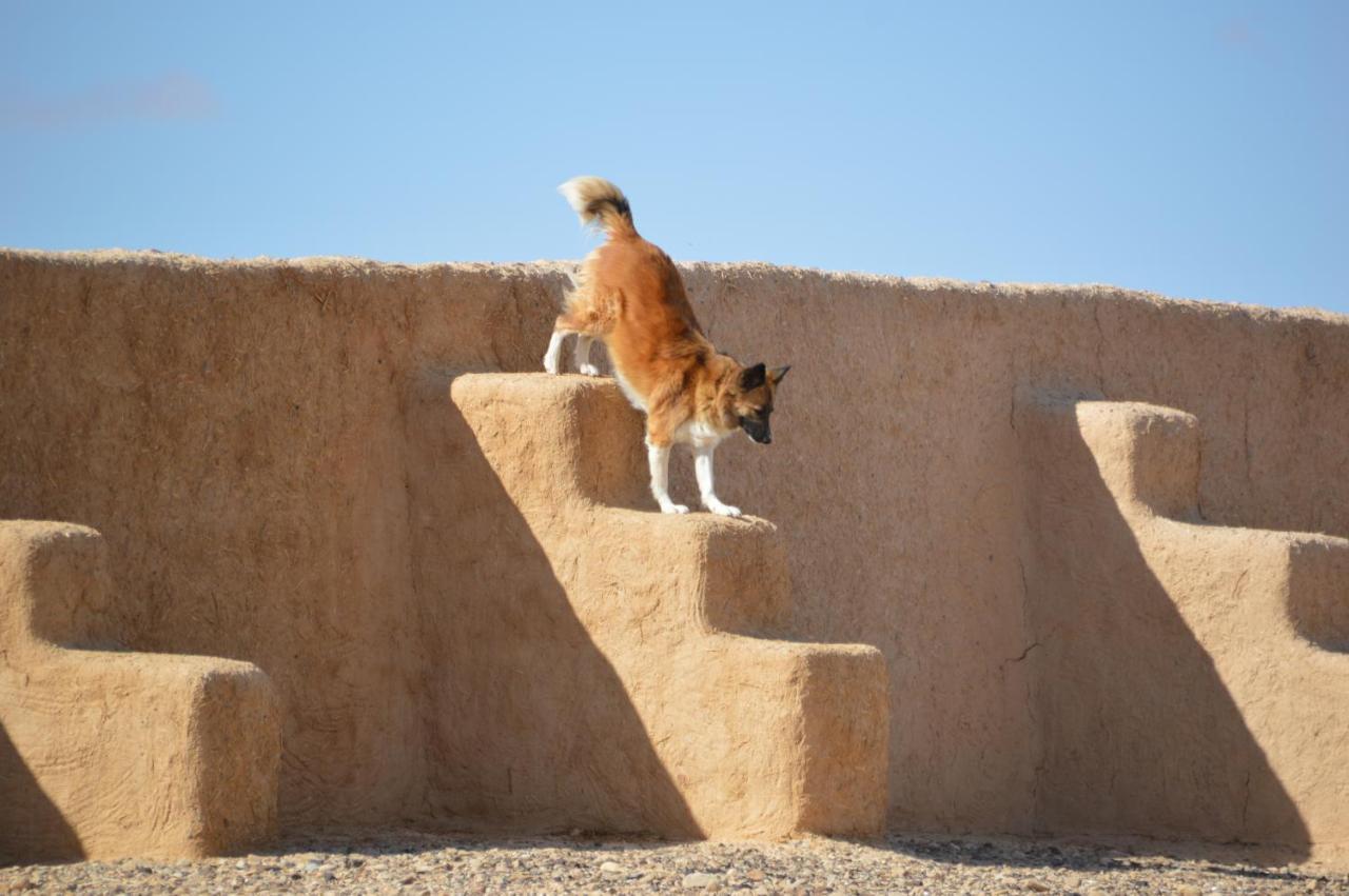 Desert Days Mud Cabin'S Resort Tzukim Εξωτερικό φωτογραφία